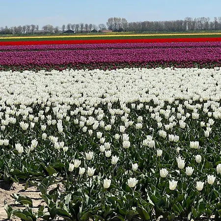 Bij Zee Frühstückspension