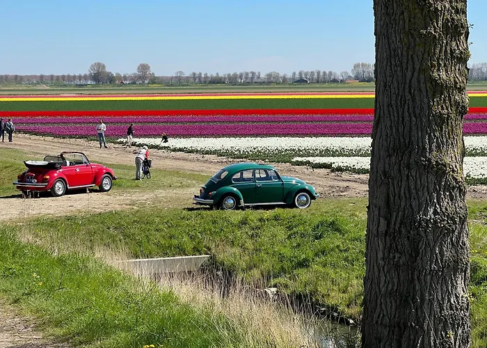 Bij Zee 3* Stellendam