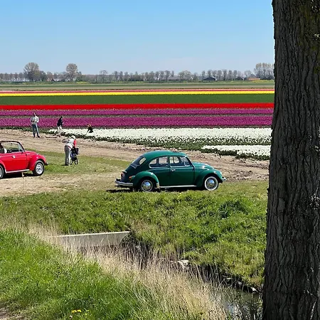 Bij Zee 3* Stellendam