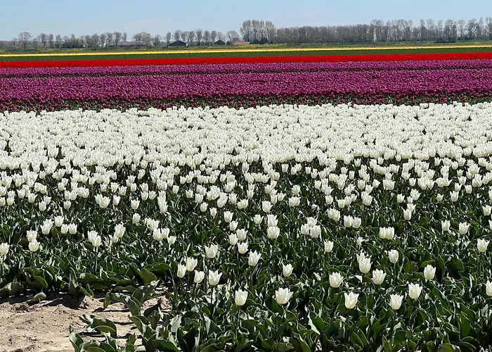 Bij Zee Oda ve Kahvaltı